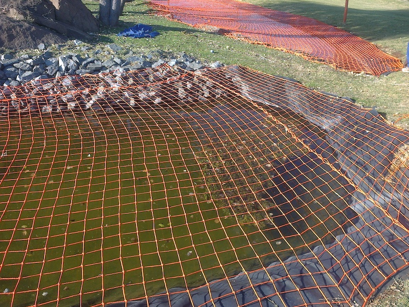Safety Nets