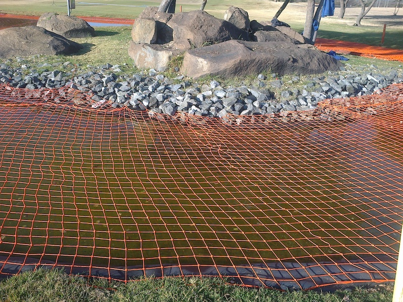 Safety Nets